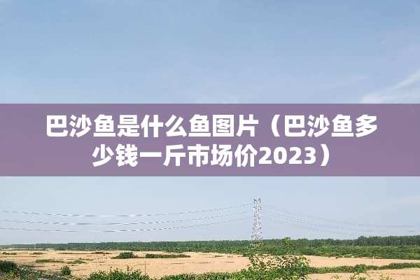 巴沙鱼是什么鱼图片（巴沙鱼多少钱一斤市场价2023）