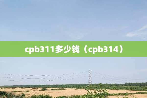 cpb311多少钱（cpb314）