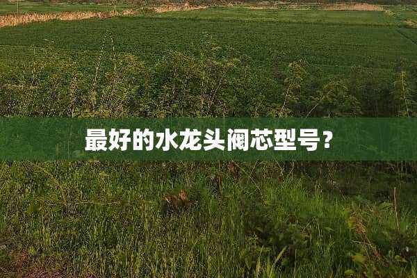 最好的水龙头阀芯型号？
