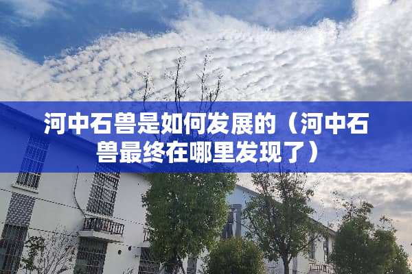 河中石兽是如何发展的（河中石兽最终在哪里发现了）