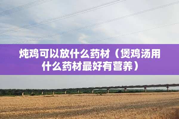 炖鸡可以放什么药材（煲鸡汤用什么药材最好有营养）