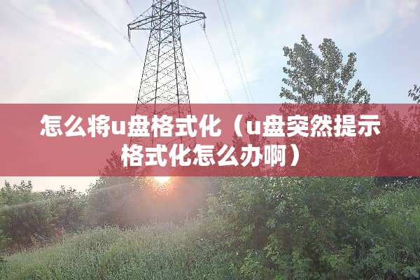 怎么将u盘格式化（u盘突然提示格式化怎么办啊）
