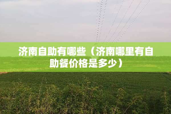 济南自助有哪些（济南哪里有自助餐价格是多少）