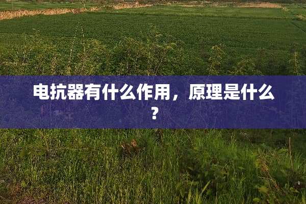 电抗器有什么作用，原理是什么？