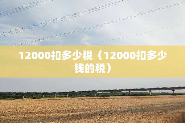 12000扣多少税（12000扣多少钱的税）
