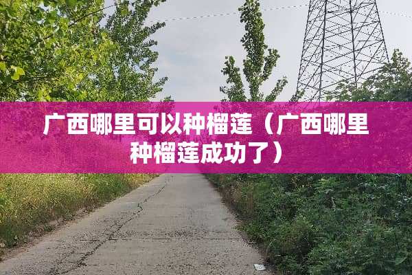 广西哪里可以种榴莲（广西哪里种榴莲成功了）