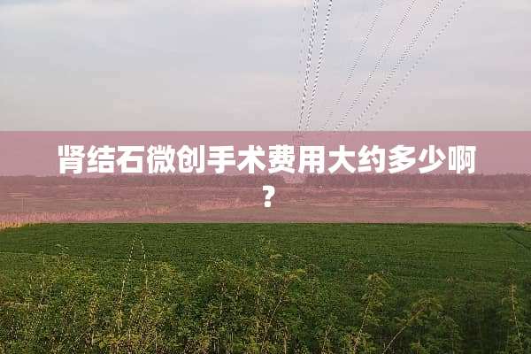 肾结石微创手术费用大约多少啊？