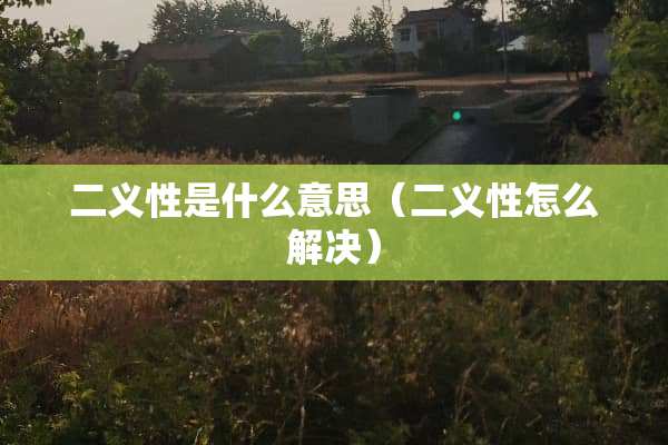 二义性是什么意思（二义性怎么解决）