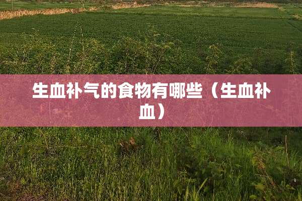 生血补气的食物有哪些（生血补血）