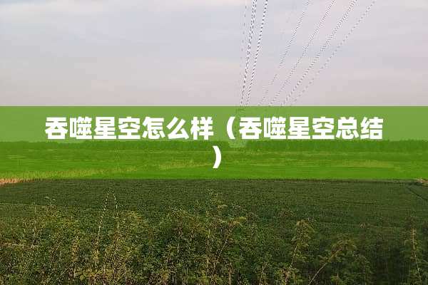 吞噬星空怎么样（吞噬星空总结）