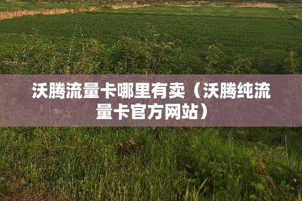 沃腾流量卡哪里有卖（沃腾纯流量卡官方网站）