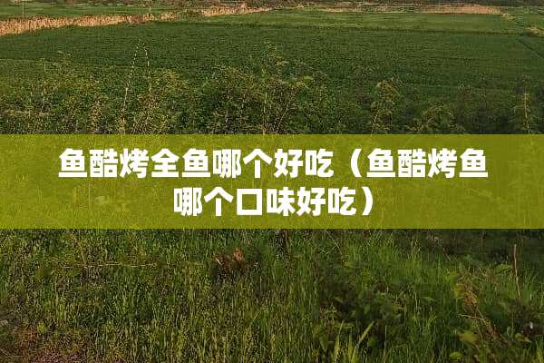 鱼酷烤全鱼哪个好吃（鱼酷烤鱼哪个口味好吃）
