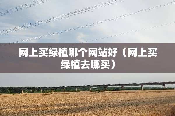 网上买绿植哪个网站好（网上买绿植去哪买）