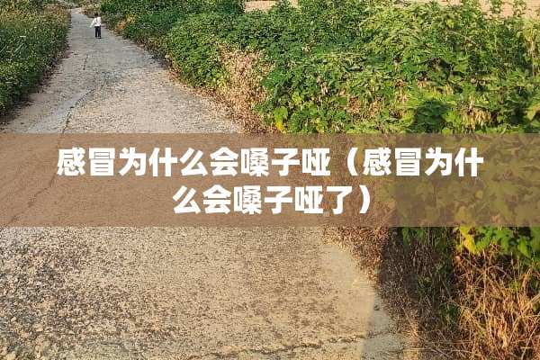 感冒为什么会嗓子哑（感冒为什么会嗓子哑了）