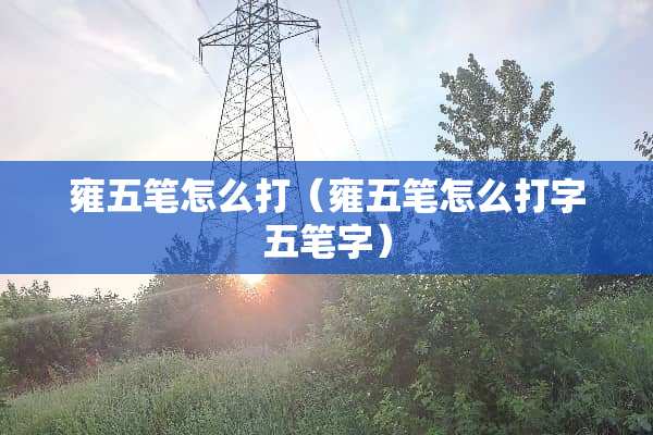 雍五笔怎么打（雍五笔怎么打字五笔字）