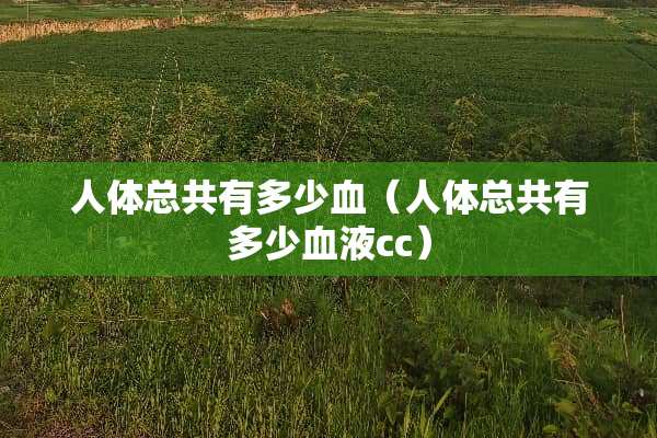 人体总共有多少血（人体总共有多少血液cc）