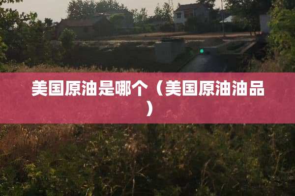 美国原油是哪个（美国原油油品）