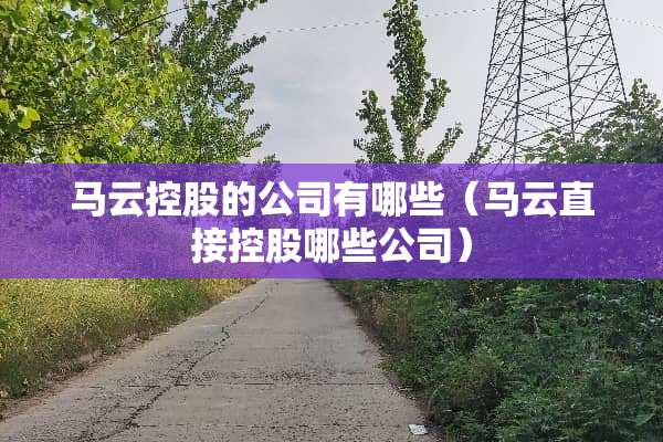 马云控股的公司有哪些（马云直接控股哪些公司）