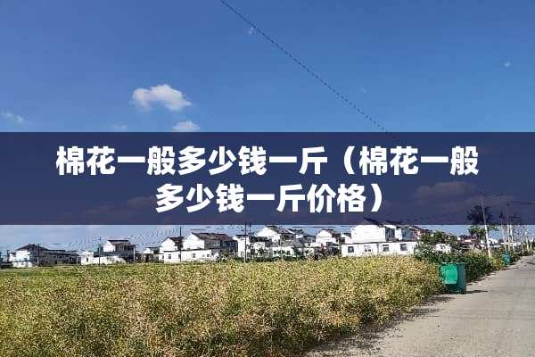 棉花一般多少钱一斤（棉花一般多少钱一斤价格）