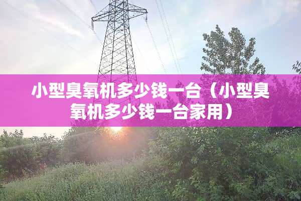 小型臭氧机多少钱一台（小型臭氧机多少钱一台家用）