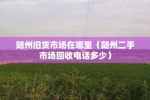 随州旧货市场在哪里（随州二手市场回收电话多少）