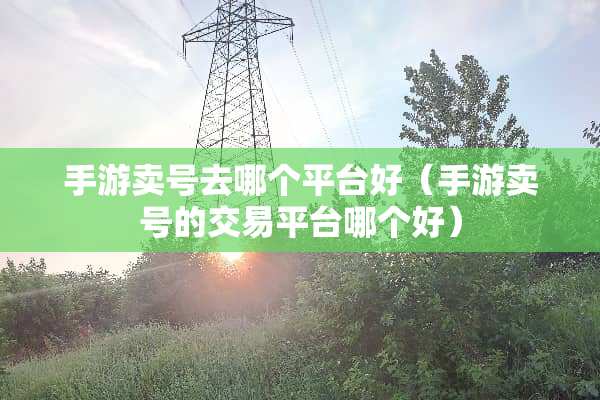 手游卖号去哪个平台好（手游卖号的交易平台哪个好）
