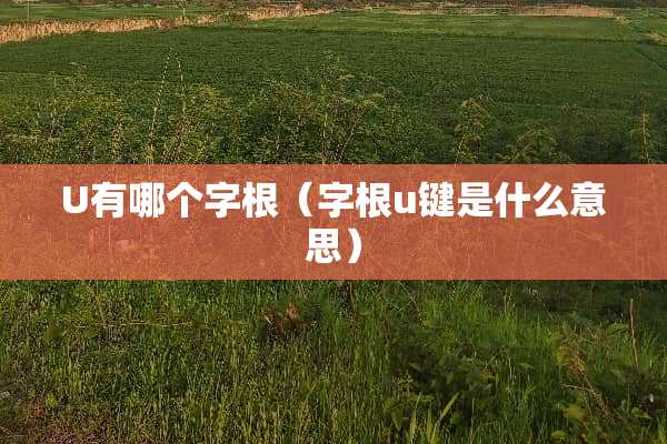 U有哪个字根（字根u键是什么意思）