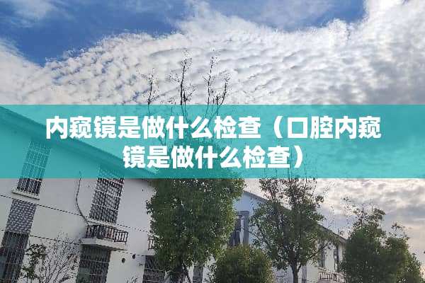 内窥镜是做什么检查（口腔内窥镜是做什么检查）