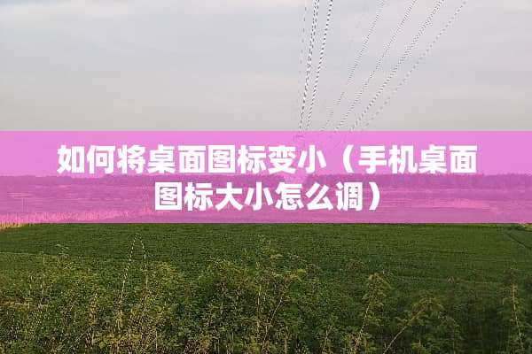 如何将桌面图标变小（手机桌面图标大小怎么调）