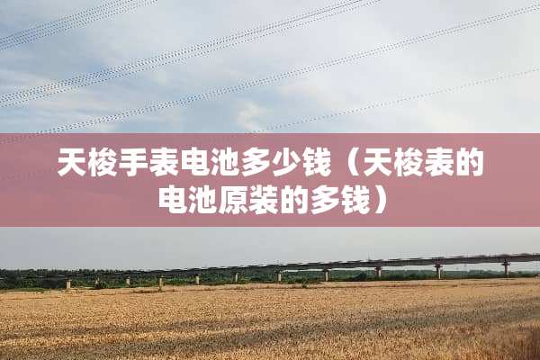 天梭手表电池多少钱（天梭表的电池原装的多钱）