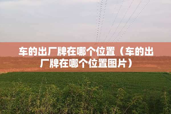车的出厂牌在哪个位置（车的出厂牌在哪个位置图片）