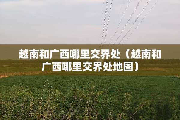 越南和广西哪里交界处（越南和广西哪里交界处地图）