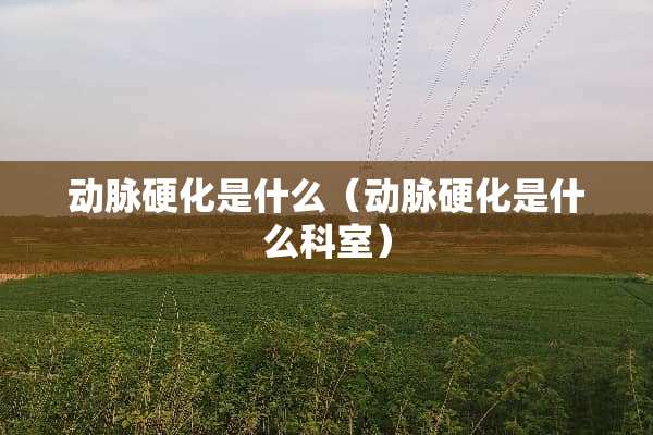 动脉硬化是什么（动脉硬化是什么科室）