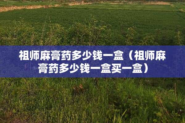 祖师麻膏药多少钱一盒（祖师麻膏药多少钱一盒买一盒）