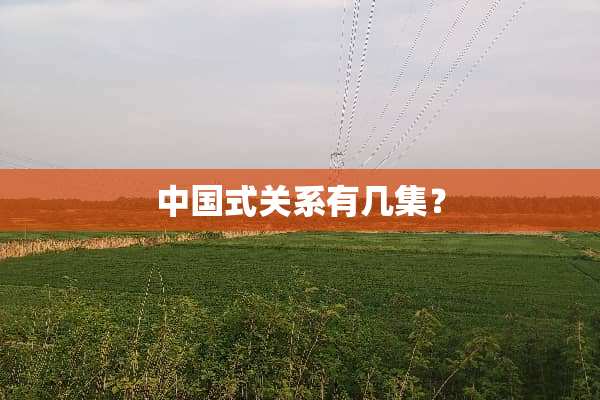 中国式关系有几集？