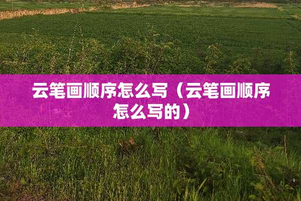云笔画顺序怎么写（云笔画顺序怎么写的）