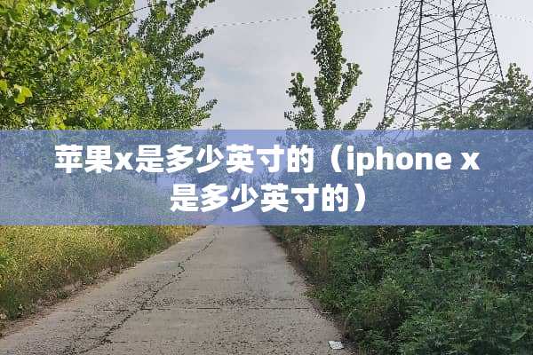 苹果x是多少英寸的（iphone x是多少英寸的）