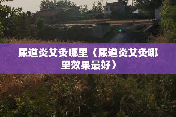 尿道炎艾灸哪里（尿道炎艾灸哪里效果最好）