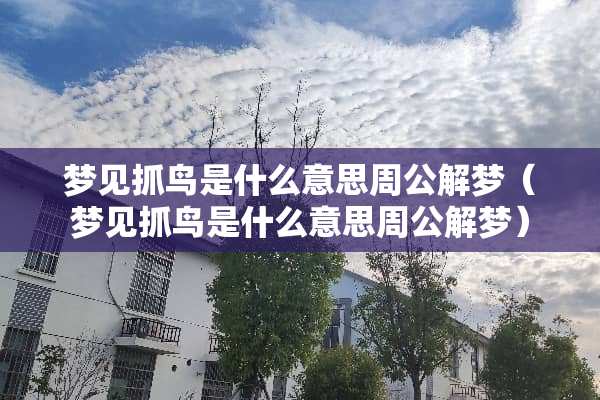 梦见抓鸟是什么意思周公解梦（梦见抓鸟是什么意思周公解梦）