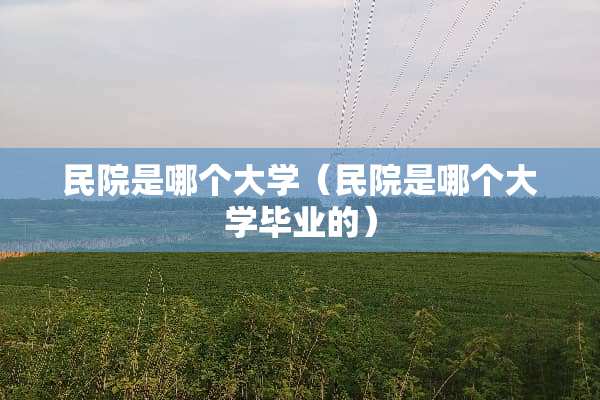 民院是哪个大学（民院是哪个大学毕业的）