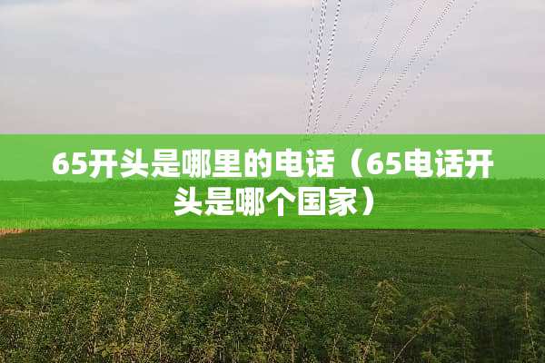 65开头是哪里的电话（65电话开头是哪个国家）
