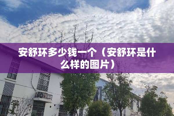 安舒环多少钱一个（安舒环是什么样的图片）