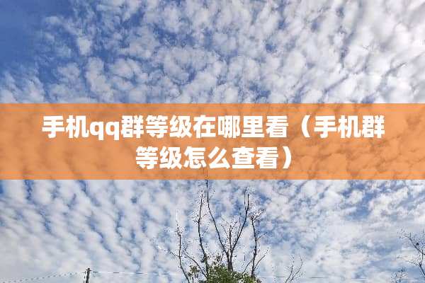 手机qq群等级在哪里看（手机群等级怎么查看）