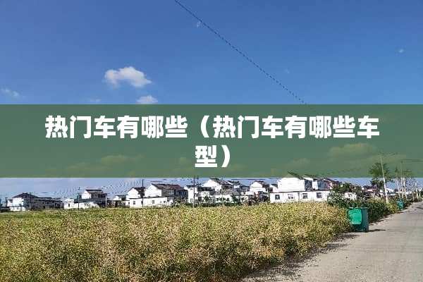 热门车有哪些（热门车有哪些车型）