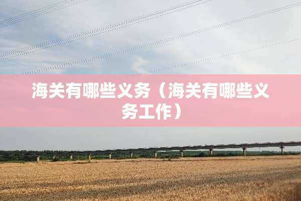 海关有哪些义务（海关有哪些义务工作）