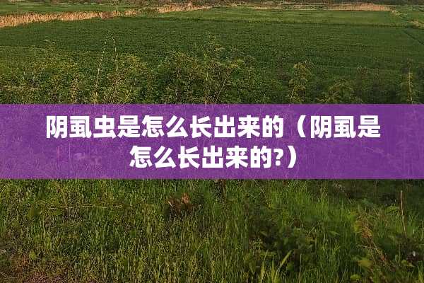 *虱虫是怎么长出来的（*虱是怎么长出来的?）
