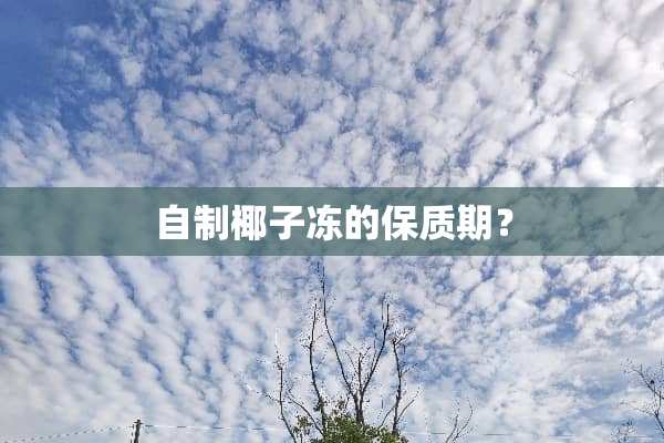 自制椰子冻的保质期？