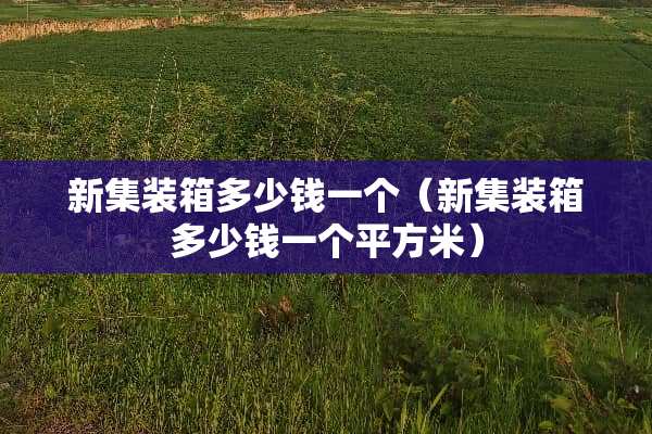 新集装箱多少钱一个（新集装箱多少钱一个平方米）