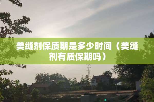 美缝剂保质期是多少时间（美缝剂有质保期吗）