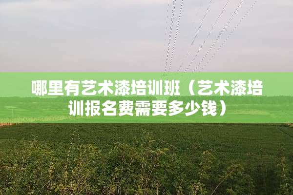 哪里有艺术漆培训班（艺术漆培训报名费需要多少钱）